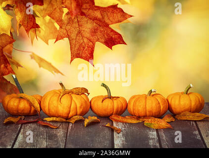 Eine Reihe von Mini Kürbisse und Herbstlaub auf rustikalen Holztisch. Schönen Herbst Ahorn Blätter Hintergrund mit goldenen Bokeh, kopieren. Stockfoto