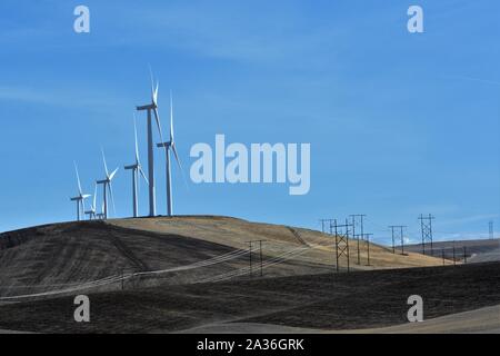 Windenergieanlagen in weit südöstlichen Staat Washington, in den USA, in der Palouse Hills, wo Weizen ist ein wichtiges Produkt der Farmen Stockfoto