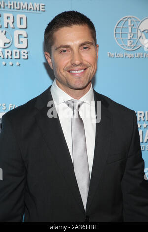 Beverly Hills, USA. 5. Okt, 2019. Eric Winter auf der 9. jährlichen amerikanischen Humane Held Hund Awards im Beverly Hilton in Beverly Hills, Kalifornien am 5. Oktober 2019. Credit: Faye Sadou/Medien Punch/Alamy leben Nachrichten Stockfoto