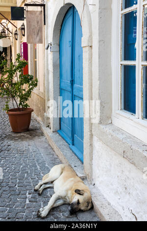 Hund schläft auf einer gepflasterten Straße, Alacati, Izmir, Türkei Stockfoto