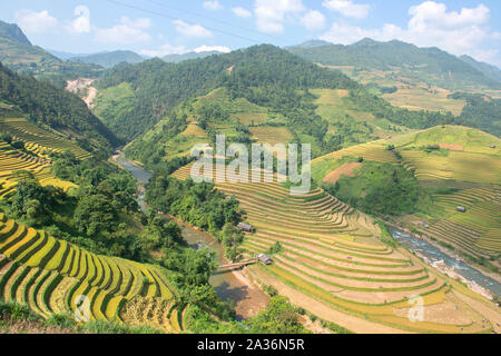 Grün, Braun, Gelb und goldener Reis terrasse Felder in Mu Cang Chai, nordwestlich von Vietnam Stockfoto