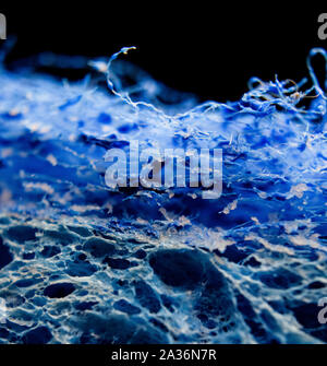 Nahaufnahme des Faserig strukturierte Blue Peeling Schwamm isolierten auf schwarzem Hintergrund Stockfoto