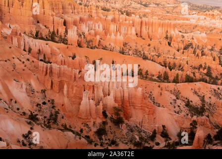 Eine Landschaft mit Hoodoos entlang Navajo Loop Trail im Bryce Canyon National Park, Utah, Vereinigte Staaten von Amerika, USA Stockfoto