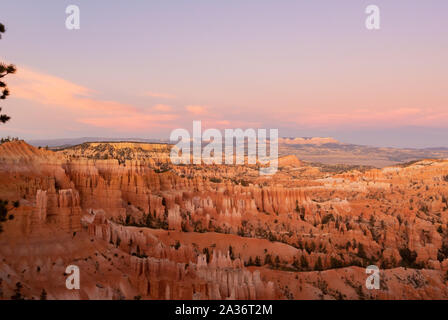 Eine Landschaft mit Hoodoos entlang Navajo Loop Trail im Bryce Canyon National Park, Utah, Vereinigte Staaten von Amerika, USA Stockfoto