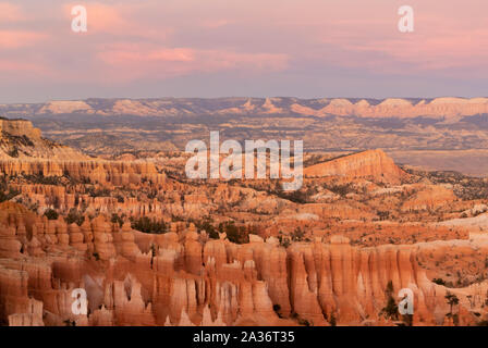 Eine Landschaft mit Hoodoos entlang Navajo Loop Trail im Bryce Canyon National Park, Utah, Vereinigte Staaten von Amerika, USA Stockfoto