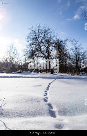 Verschneite tiefe Spuren in eine Schneeverwehung in einem verlassenen Garten in der Landschaft, vor dem Hintergrund einer golubugo Himmel und Wolken, auf einem sonnigen Stockfoto