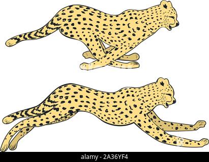 Stilisierte cheetah Silhouette in Pose design Illustration. Stock Vektor