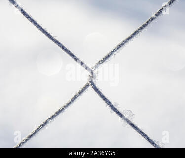 Gefrorene Zaun aus Metall Gitter mit Frost Kristallen bedeckt, eine frühe sonnigen kalten Morgen, auf einem verschwommenen Hintergrund. Close-up. Stockfoto
