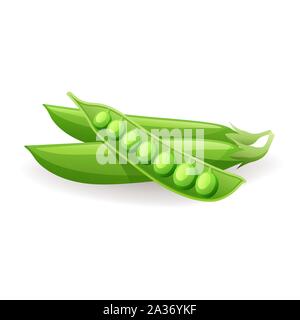 Reif grüne Hülsen mit Erbsen Symbol auf weißem Hintergrund, Vector Illustration. Stock Vektor