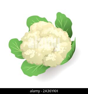 Weißer Blumenkohl mit grünen Blättern Symbol isoliert, Gemüse, Vector Illustration. Stock Vektor