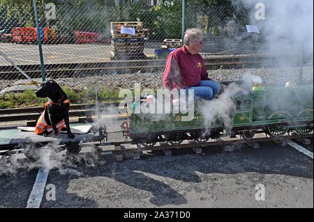 Ein Hund in einer Motorradjacke Jacke fährt auf einer kleinen Dampfeisenbahn an Tyseley Railway Centre, Birmingham, Großbritannien Stockfoto