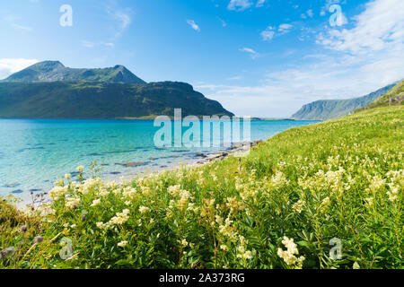 Schönen Sandstrand auf den Lofoten in Norwegen Stockfoto