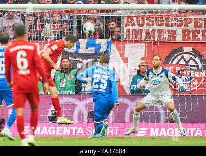 München, Deutschland. 05 Okt, 2019. Robert Lewandowski, FCB 9 Kerben, schießt Ziel für 1-1, Oliver BAUMANN, das 1:0 fiel Hoff 1 FC BAYERN MÜNCHEN - TSG 1899 Hoffenheim - DFL-Bestimmungen verbieten die Verwendung von Fotografien als BILDSEQUENZEN und/oder quasi-VIDEO - 1. Deutsche Fussball Liga, München, Oktober 05, 2019 Saison 2019/2020, Spieltag 07, FCB, München, Quelle: Peter Schatz/Alamy leben Nachrichten Stockfoto