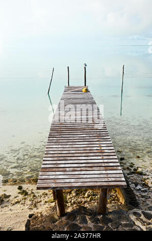 Kleine hölzerne Seebrücke am Rand der Lagune auf Anaa Atoll, Französisch Polynesien Stockfoto