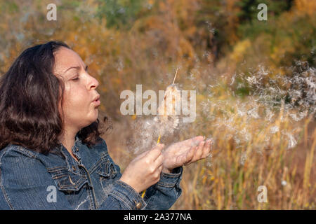 Eine europäische Mädchen mit schwarzen Haaren bläst auf ein cattail in der Hand, mit der flaum Fliegen ist. Selektive flachen konzentrieren sich auf die Flusen, Herbst Hintergrund Stockfoto