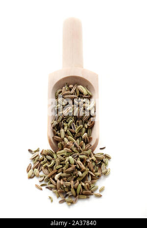 Getrocknete Fenchel Samen auf eine hölzerne Schaufel isoliert auf weißem Stockfoto