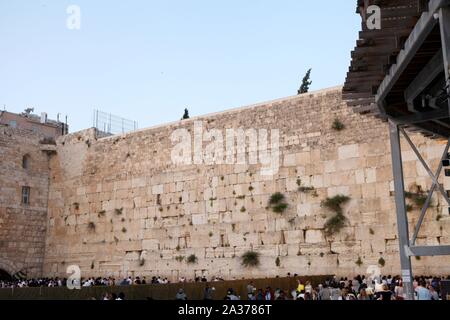 Anbeter an der Klagemauer in Jerusalem, Israel. Die Mauer ist einer der heiligsten Plätze im Judentum bis auf dem Tempelberg. Stockfoto