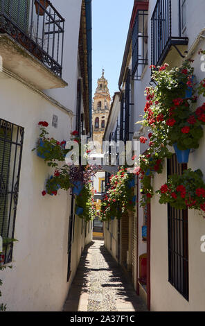 Typische Straße in den Monat Mai in Cordoba anläßlich des Festes der Innenhöfe von Cordoba. Stockfoto