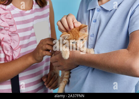 Schöne Kinder Holding ein schönes nettes Haustier, Nahaufnahme 7/8 Foto. Tierfreund, Lifestyle Stockfoto