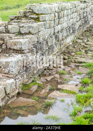 Abschnitt der Römischen Hadrianswall in der Nähe von Hexham Planetrees Northumberland Stockfoto