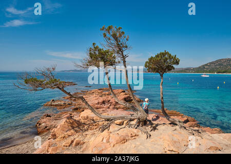 Die roten Felsen von Palombaggia Strand/Plage de Palombaggia, einem beliebten Scenic, klares Wasser, weißer Sandstrand im Südosten von Korsika Frankreich Stockfoto