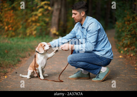 Attraktive freundliche Mann sein Tier zähmen Pfote zu geben. in voller Länge Seitenansicht Foto. Stockfoto