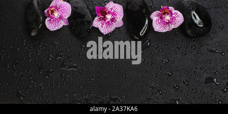 Massage Steine und rosa Orchidee Blumen mit Wassertropfen, spa und wellness Konzept Stockfoto