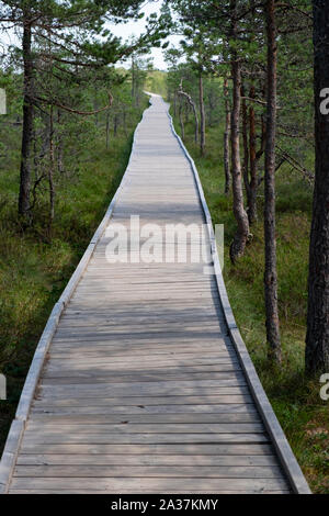 Leere Holzsteg durch Viru Bog in den Lahemaa Nationalpark, Harjumaa, Estland Stockfoto