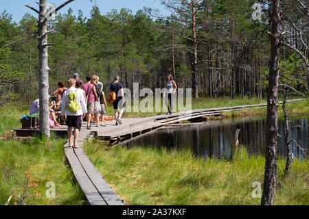 Touristen zu Fuß auf der Promenade von Viru Moor, Lahemaa Nationalpark, Harjumaa, Estland Stockfoto