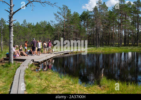 Touristen zu Fuß auf der Promenade von Viru Moor, Lahemaa Nationalpark, Harjumaa, Estland Stockfoto