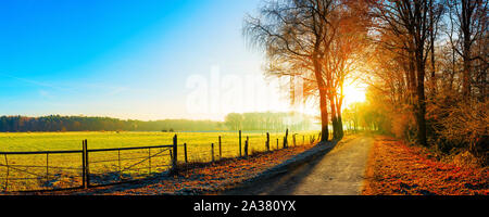 Landschaft im Herbst, Straße neben eine Weide bei Sonnenaufgang Stockfoto