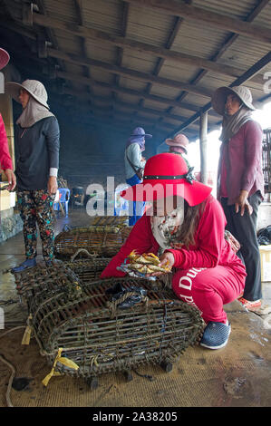 Kambodscha, Kep-Januar 2016: Crab Markt, Frauen Auswahl Meeresfrüchte an der Krabbe Markt Stockfoto