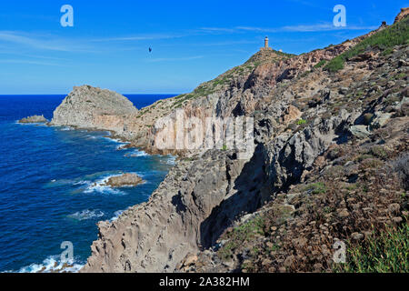 Blick auf die Küste der Isola di San Pietro, wo Eleonorenfalken brüten Stockfoto