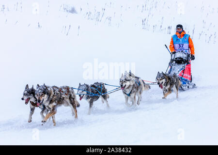 Teilnehmer in der La Grande Odyssée Savoie Mont Blanc Schlittenhunderennen, Praz de Lys Sommand, Auvergne-Rh ône-Alpes, Frankreich Stockfoto