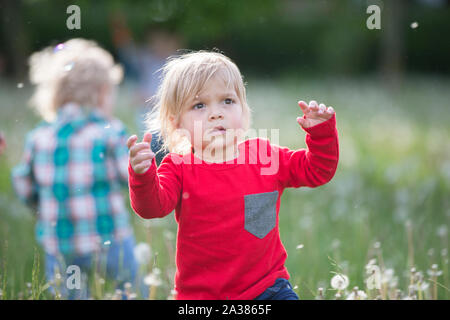 Kleines Kind in hellen Kleidern auf grünem Gras Stockfoto