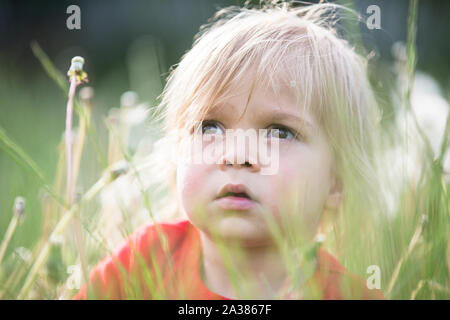 Das Gesicht eines Kindes in das grüne Gras. Porträt eines Kindes in der Natur Stockfoto