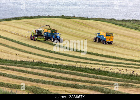 Ballycastle. UK. 06.22.16. Landwirtschaft - Sammeln von Silage in die Felder in der Nähe von Ballycastle, County Antrim, Nordirland. Silage ist das Gras Futter t Stockfoto