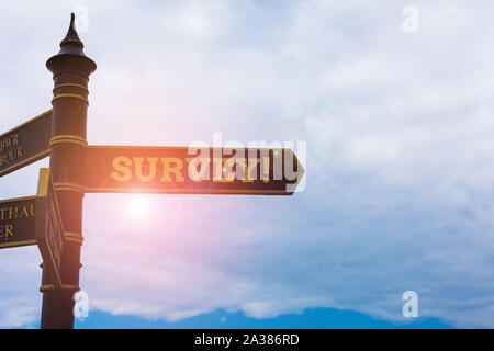 Konzeptionelle Hand schreiben Übersicht Übersicht. Begriff Sinne Forschung Methode für die Erfassung von Daten aus einer vordefinierten Gruppe Schild auf der Kreuzung w verwendet Stockfoto