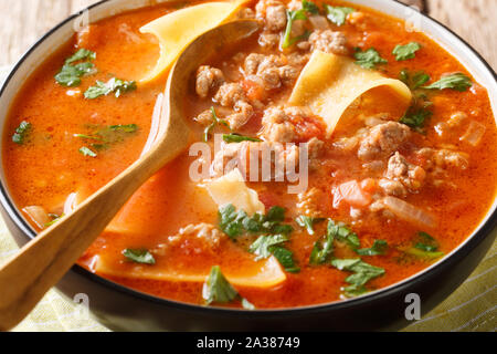 Frisch duftende Suppe, Lasagne mit Hackfleisch closeup in einer horizontalen Platte. Stockfoto