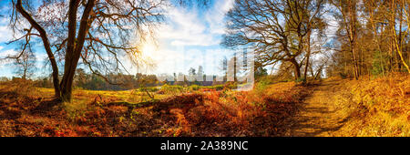 Landschaft im Herbst mit Bäumen und Sonne Stockfoto