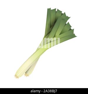 Frischen lauch Blatt. Realistische 3D-Vektor Zwiebel verlässt. Gesunde Aroma. Auf weissem Hintergrund. Kräuter und Gewürze Küche eingestellt. Vektor Stock Vektor