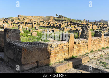 Timgad in Batna, Algerien Stockfoto