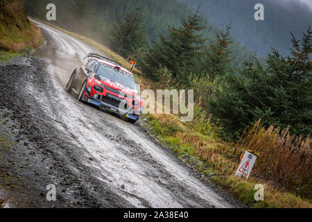 Esapekka Lappi (Finnland) Fahrt durch die Myherin Stufe der Wales Rally GB 2019 im Citroen C3 WRC World Rally Car Stockfoto