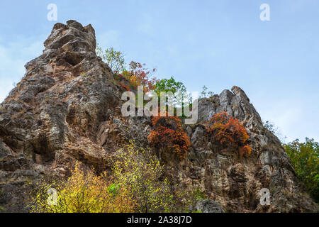 Lebendige Farben des Herbstes in einem Wald auf eine felsige Klippe in eine enge Schlucht in Serbien, mit roten, grünen und gelben Bäume unter einem blauen Himmel Stockfoto