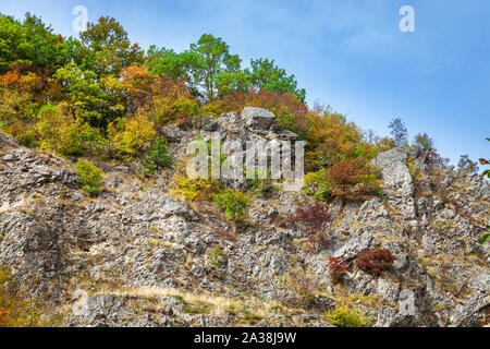 Lebendige Farben des Herbstes in einem Wald auf eine felsige Klippe in eine enge Schlucht in Serbien, mit roten, grünen und gelben Bäume unter einem blauen Himmel Stockfoto