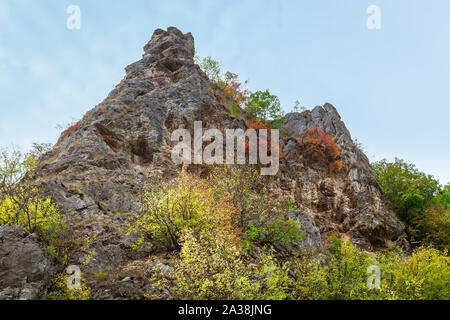 Lebendige Farben des Herbstes in einem Wald auf eine felsige Klippe in eine enge Schlucht in Serbien, mit roten, grünen und gelben Bäume unter einem blauen Himmel Stockfoto