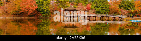 Malerische Aussicht von Nara öffentlichen Park im Herbst, mit Ahorn Blätter, Teich und alten Oriental Pavilion im Wasser spiegelt Stockfoto