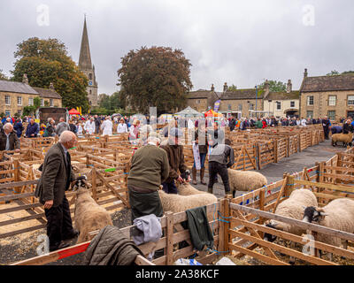 Richter, die Schafe auf der Masham Sheep Fair, North Yorkshire, Großbritannien, untersuchen Stockfoto