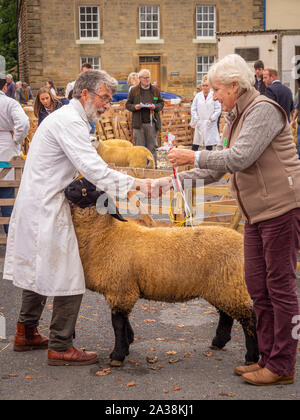 Wettbewerber, die Gewinner Rosette an Masham Schafe Fair Stockfoto