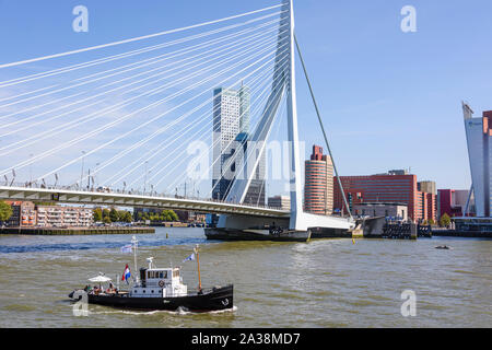 Erasmusbrug (Erasmus Brücke), über die Nieuwe Maas, Rotterdam, Niederlande. Stockfoto